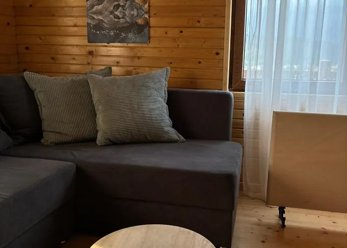 Brvnara Сasa de vacaciones Vrdnik